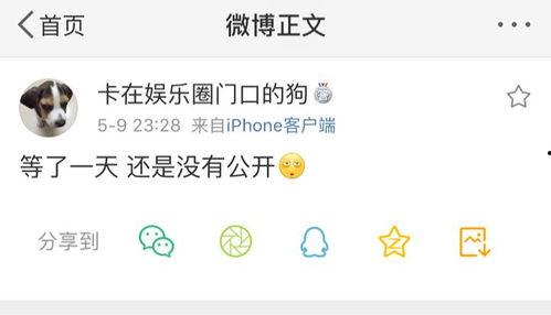 吃瓜等爆料完结,娱乐圈大事件幕后真相大公开