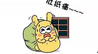 吃瓜群众之旅,揭秘娱乐圈幕后风云